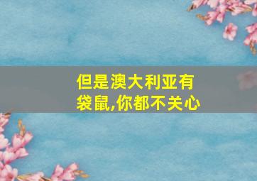 但是澳大利亚有 袋鼠,你都不关心